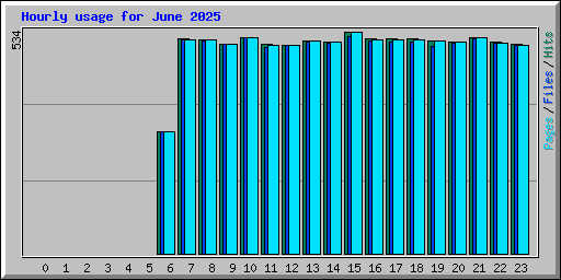 Hourly usage for June 2025