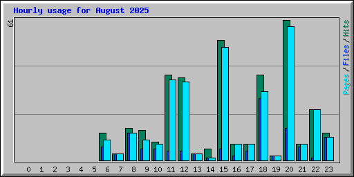 Hourly usage for August 2025