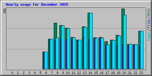 Hourly usage for December 2025