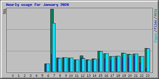 Hourly usage for January 2026