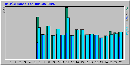 Hourly usage for August 2026